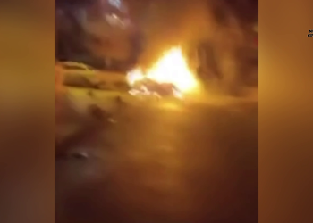 Jinên Tolhildêr İnisiyatifi’nden tecride karşı iki noktada eylem!