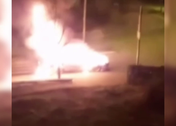 Jinên Tolhildêr’den özel savaş politikalarına karşı iki farklı noktada eylem!