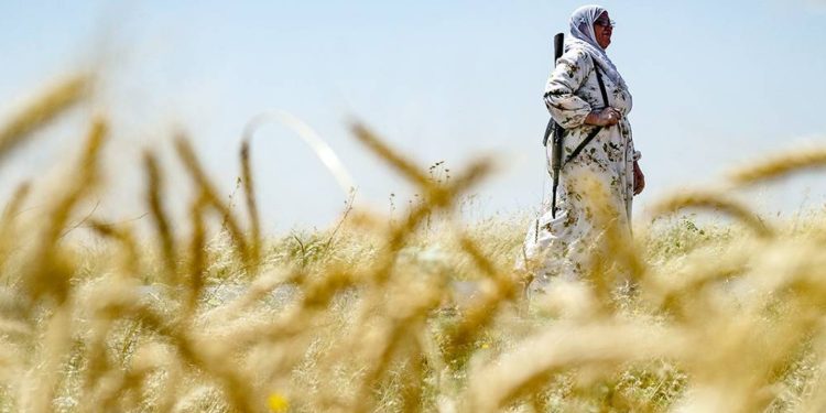 KCK Ekolojik Komitesi: Ekolojik kırıma karşı durmalıyız
