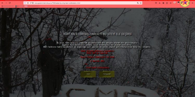 Halkın Siber Ordusu’ndan eylem