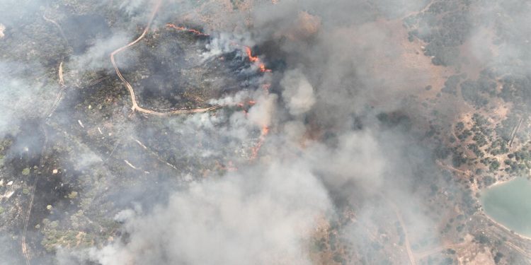 Türk ordusu Kürdistan’ı yakıyor, KDP söndürmeyi engelliyor!