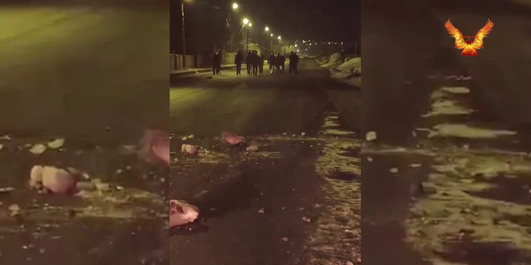 YCWK Wan Birimlerinden irade gaspına karşı eylemler