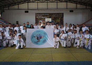 Cizre Kantonu Gençlik Spor Komitesi’nden Karate Turnuvası
