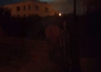 DEM Parti Adana Gençlik Meclisi’nden 15 Ağustos Kutlaması