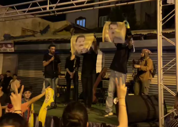 Wan’da “Barış ve Demokratik Toplum” Şöleni Düzenlendi