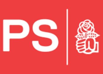 İsviçre SP: Erdoğan, Rojava’ya yönelik uluslararası hukuka aykırı saldırılarını durdurmalıdır