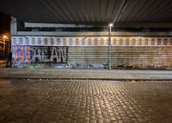 Hamburg’da TCŞ Üyesi Gençlerden Önder APO’ya Özgürlük Yürüyüşüne Çağrı