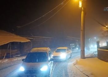 Lice’de Rojava’ya Dönük Saldırılar Protesto Edildi