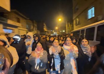 Mersin’de Gençlik Öncülüğünde Rojava’ya Destek Yürüyüşü