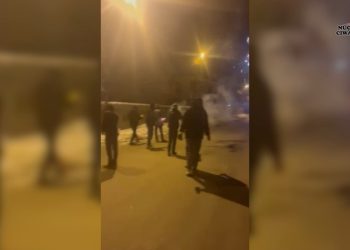 Wan’da Yurtsever Gençler’den Rojava Eylemi