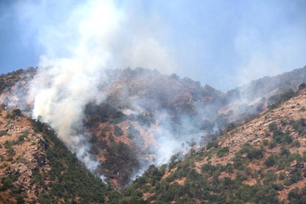 İşgalci Türk askerleri benzin ile ormanları yakıyor!