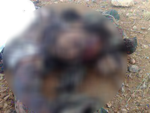 Zeytin Gazabı Eylem Odası: 5 işgalci öldürüldü