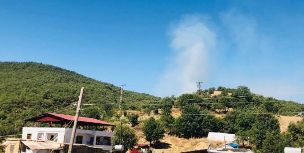 Lice’de işgalci Türk ordusu orman yaktı, şiddetli çatışmalar yaşanıyor