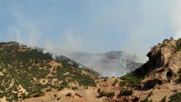 Hakkari’de işgalci askerler ormanları yakıyor