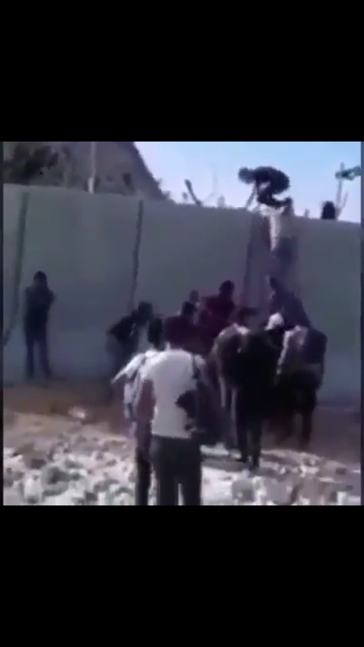 Efrîn’deki çetelerin Türkiye’ye kaçışı sürüyor