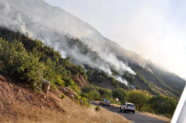 Kuzeyden sonra Türk devleti Güney Kürdistan’ı da yakıyor
