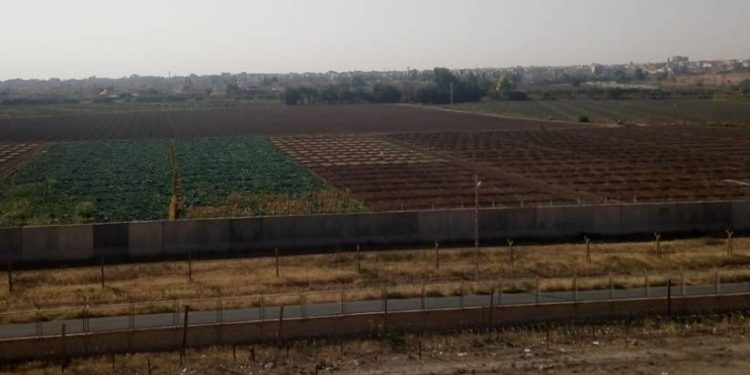 İşgalci Türk devleti Nusaybin’e askeri yığınak yapıyor