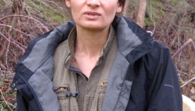 Besê Hozat: Suriye üzerinde büyük bir komplo kuruluyor