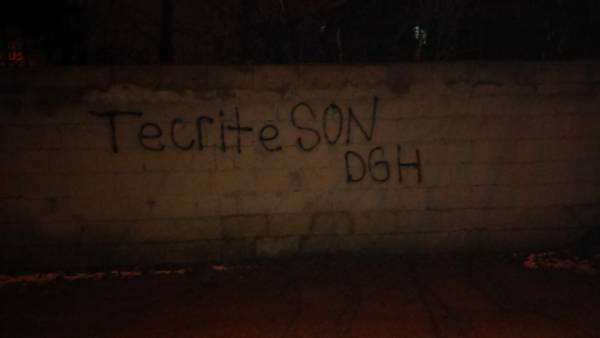 Tuşba gençliğinden tecride karşı yazılama eylemi