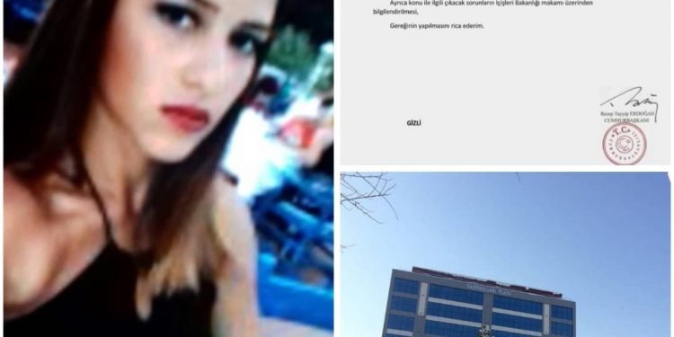 RTE’nin Batman’daki Özel Savaş Merkezi: Gülhisar Trafik Kazaları Danışma Merkezi