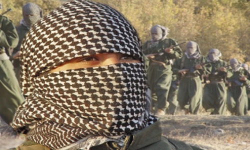 Kadın Kurtuluş İdeolojisinin İlkeleri