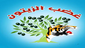 Zeytin Gazabı: Bab’da 5 çete öldürüldü