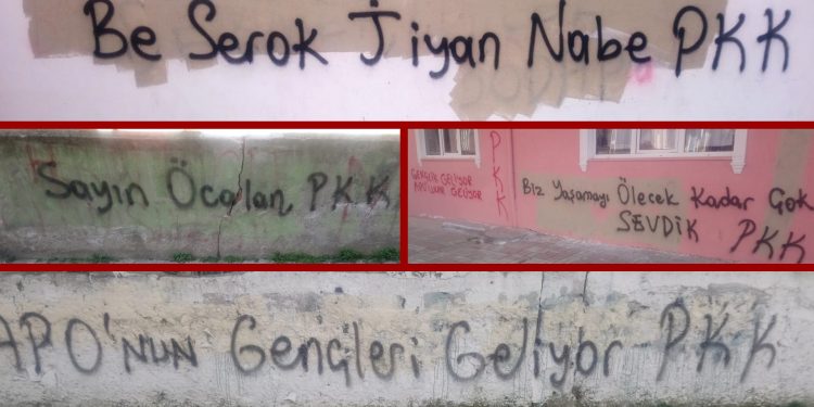 İstanbul gençliğinden yazılama eylemi: “Önder Apo’nun Gençleri Geliyor”