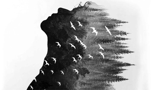 Ortadoğu Devrimine Giden Yolda Şehir Savaşları – 1