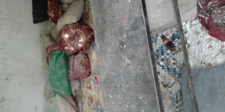 İşgalci Türk devleti Efrîn’i talan etmeye devam ediyor