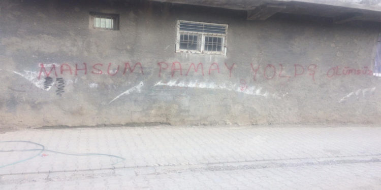 Cizîra Botan gençliğinden tecride karşı eylem