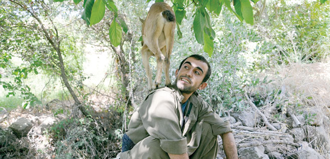 Gerillanın dostu Soryaz