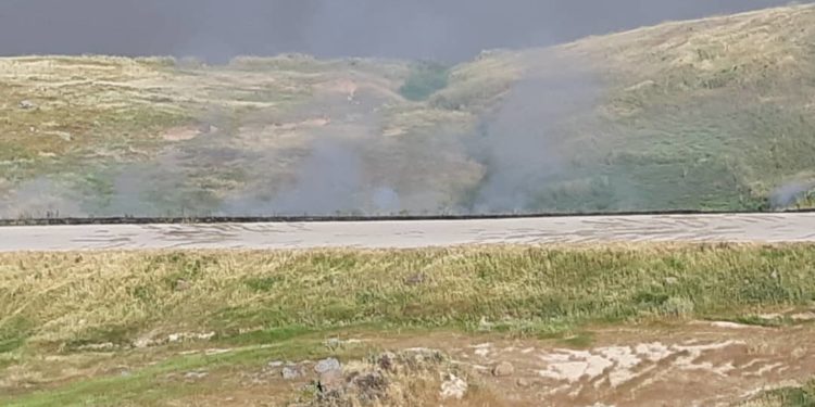 İşgalci Türk ordusu Derik’de arazileri ateşe verdi