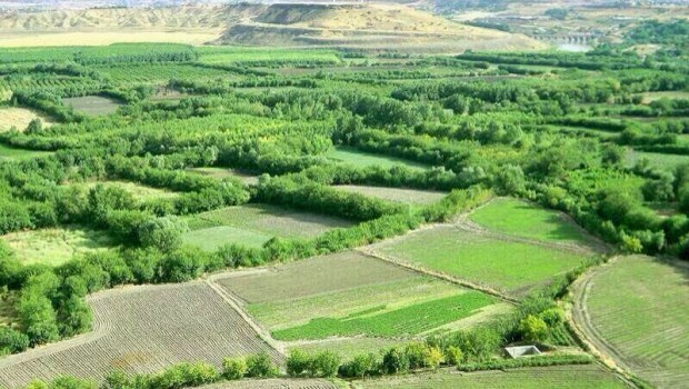 Sur’dan sonra sıra Hevsel’de: İşgalci devletin eli Hevsel’e yetişti