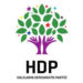 HDP, Meclis’e gençlerin işsizlik sorununu taşıdı