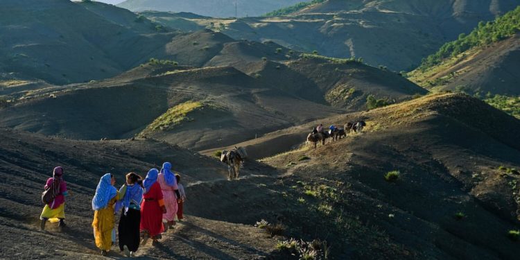 Kuzey Kürdistanın Sosyolojik Yapısı –5