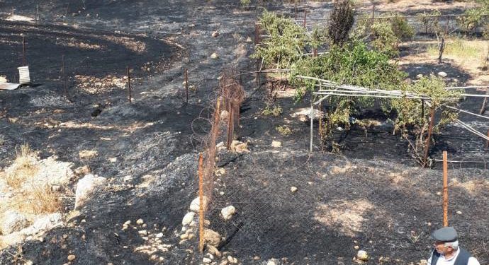 Silopiya’da işgal operasyonu sırasında araziler küle döndü