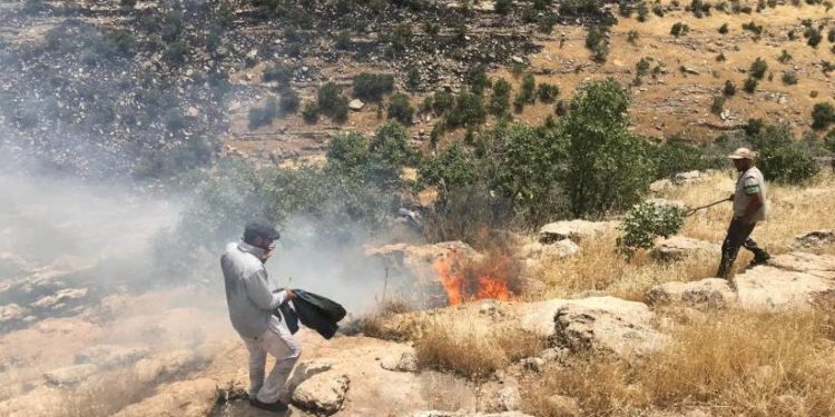 Ömeryan’daki yangın kontrol altına alındı