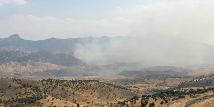 Cudi dağında yangın!