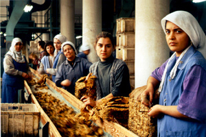 Ortadoğu Kaosundan Çıkış: Demokratik, Komünal Kadın Ekonomisi- II