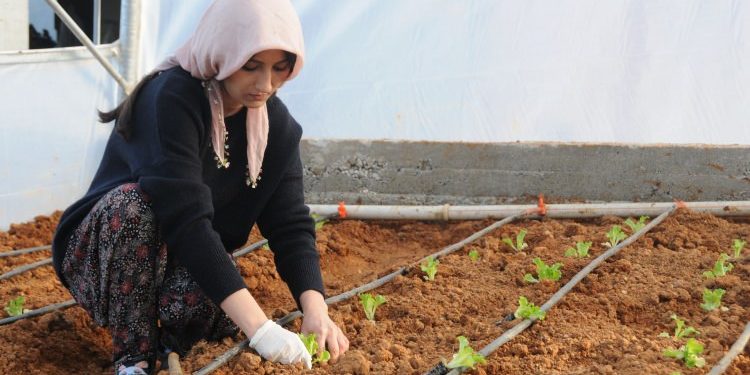Kapitalist ekonomiye karşı kadının ekonomisi