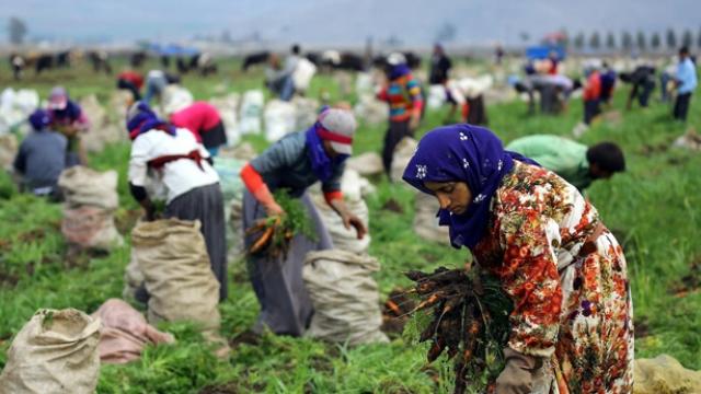 Ortadoğu Kaosundan Çıkış: Demokratik, Komünal Kadın Ekonomisi- I