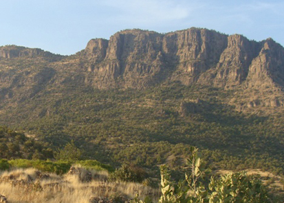 Ardıç, Kato Ve Şehitlerimiz