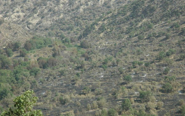 Bradost ve Balakati’deki saldırılar sürüyor