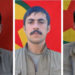 HPG, Çelê’de şehit düşen gerillaları andı