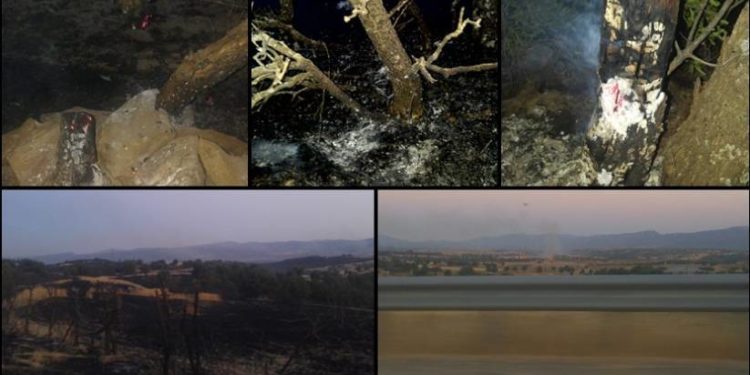 İşgalci Türk askeri Lice’yi yağmalıyor: 2’si yaralı 6 yurttaş gözaltında