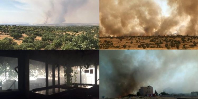 Bagok dağı’ndaki yangın köylere ulaştı!