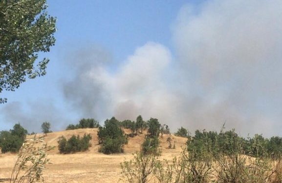 Lice’de işgalci Türk askerleri köylülere saldırıyor!