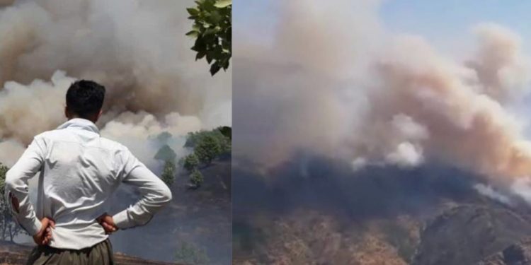 İşgalci Türk askeri bölgeyi ateşe verdi: 53 küçükbaş hayvan yanarak can verdi