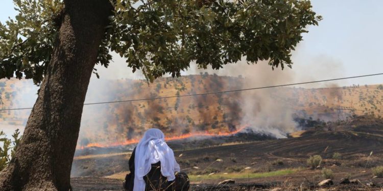 İşgalci Türk askerleri Cudi ve Çiyayê Mazî’yi ateşe verdi