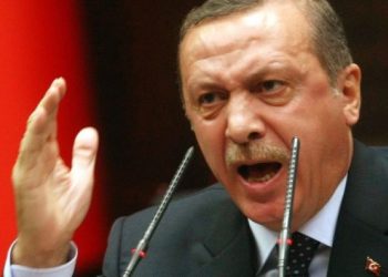 Erdoğan’ın ölümü üzerine ‘Ölü Ölmüş!’ (Amed Çocukları)